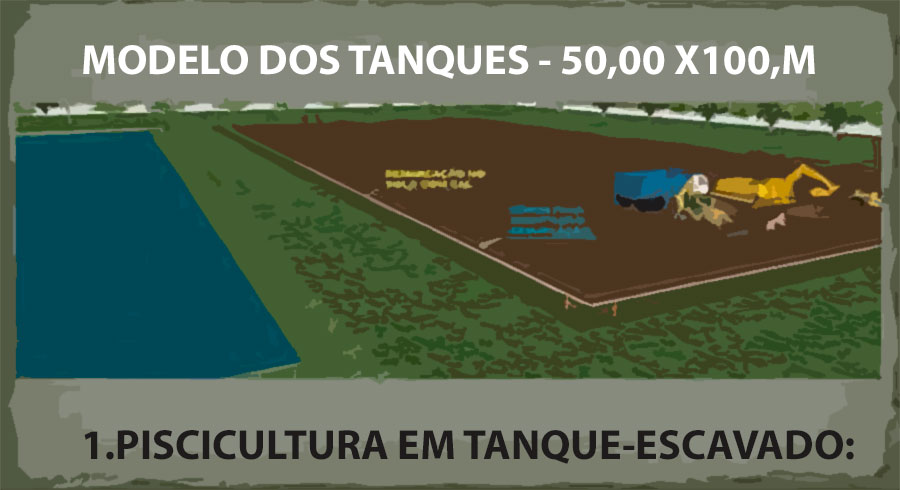 PISCICULTURA EM TANQUES-REDE: ALTERNATIVA INTELIGENTE - News Rondônia