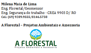Recebimento da Licença Ambiental: P SOUSA FILHO - News Rondônia