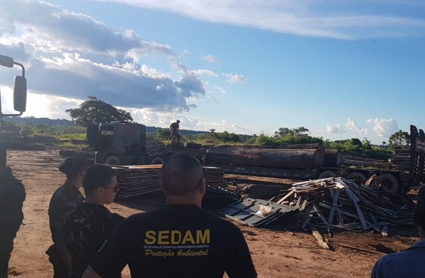 COORDENAÇÃO DE PROTEÇÃO AMBIENTAL REGISTRA EM SEIS MESES MAIS DE 500 AUTOS EM CRIMES CONTRA O MEIO AMBIENTE EM RONDÔNIA - News Rondônia