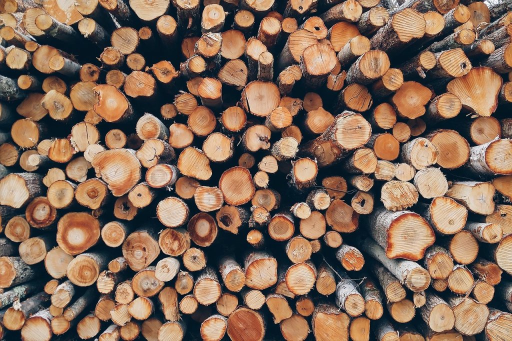 CALENDÁRIO FLORESTAL - Período de restrição da extração de madeira dos projetos de manejo sustentável entra em vigor em 1º de janeiro de 2021 - News Rondônia
