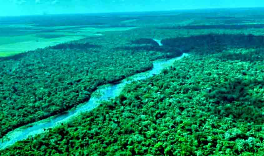 Rondônia foi o terceiro estado que mais reduziu vegetação nativa em 18 anos - News Rondônia