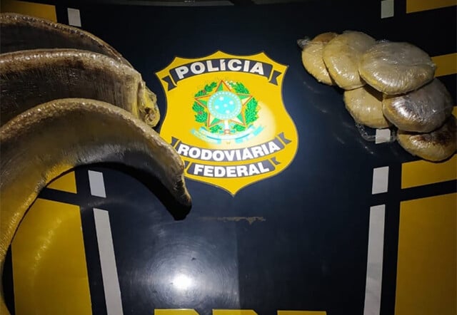 Peruanas são presas com 12,5 kg de cocaína em barreira da PRF em Ji-Paraná; droga seria levada para SP - News Rondônia