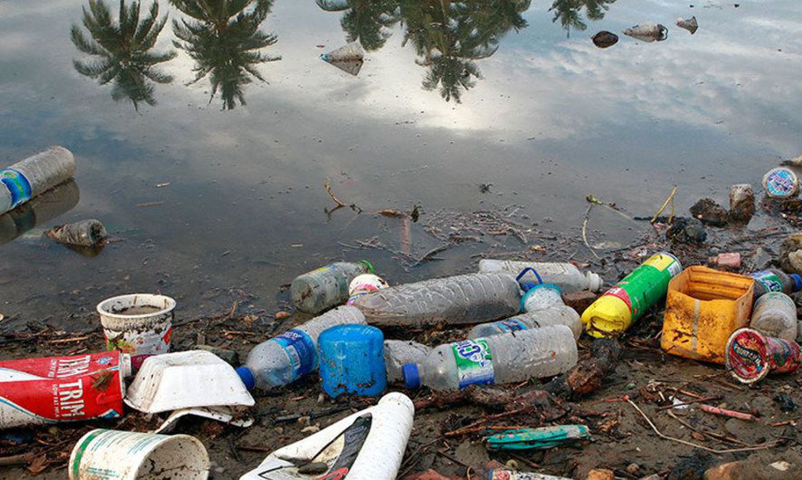 Plástico nos oceanos pode chegar a 600 milhões de toneladas em 2040 - News Rondônia