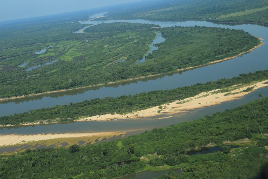 Sedam organiza programação especial para a Semana do Meio Ambiente, em parceria com municípios de Rondônia - News Rondônia
