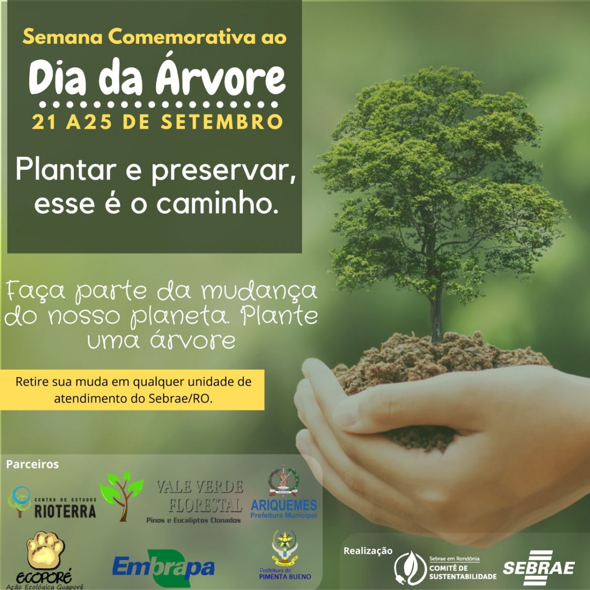 SUSTENTABILIDADE: No Dia da Árvore, Sebrae distribui mudas a clientes - News Rondônia