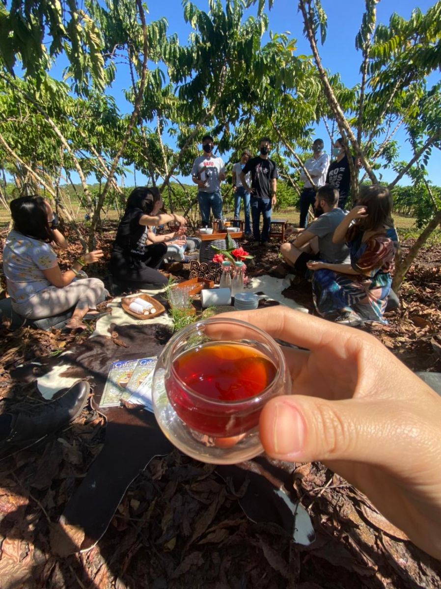 Expedição Robustas Amazônicos é uma excelente estratégia para fomentar a cadeia produtiva do café, destaca ACIC - News Rondônia