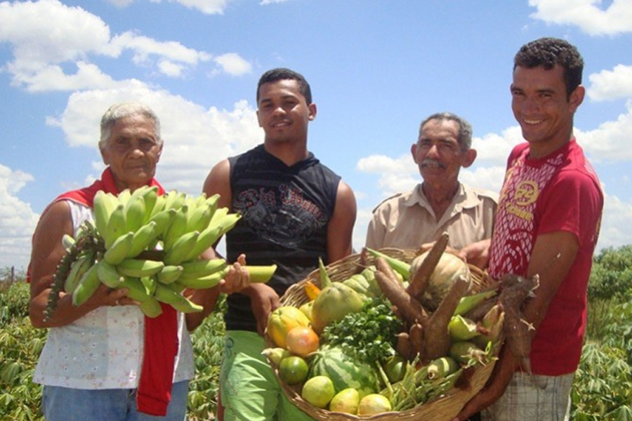 Agricultores familiares já têm disponíveis os produtos com direito a bônus do PGPAF em fevereiro - News Rondônia