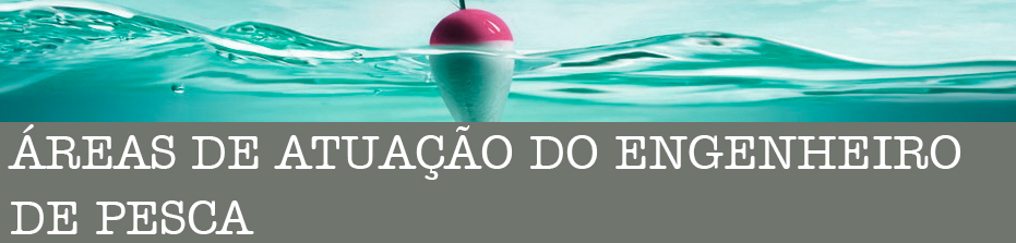 DIA DO ENGENHEIRO DE PESCA: 14 DE DEZEMBRO - News Rondônia