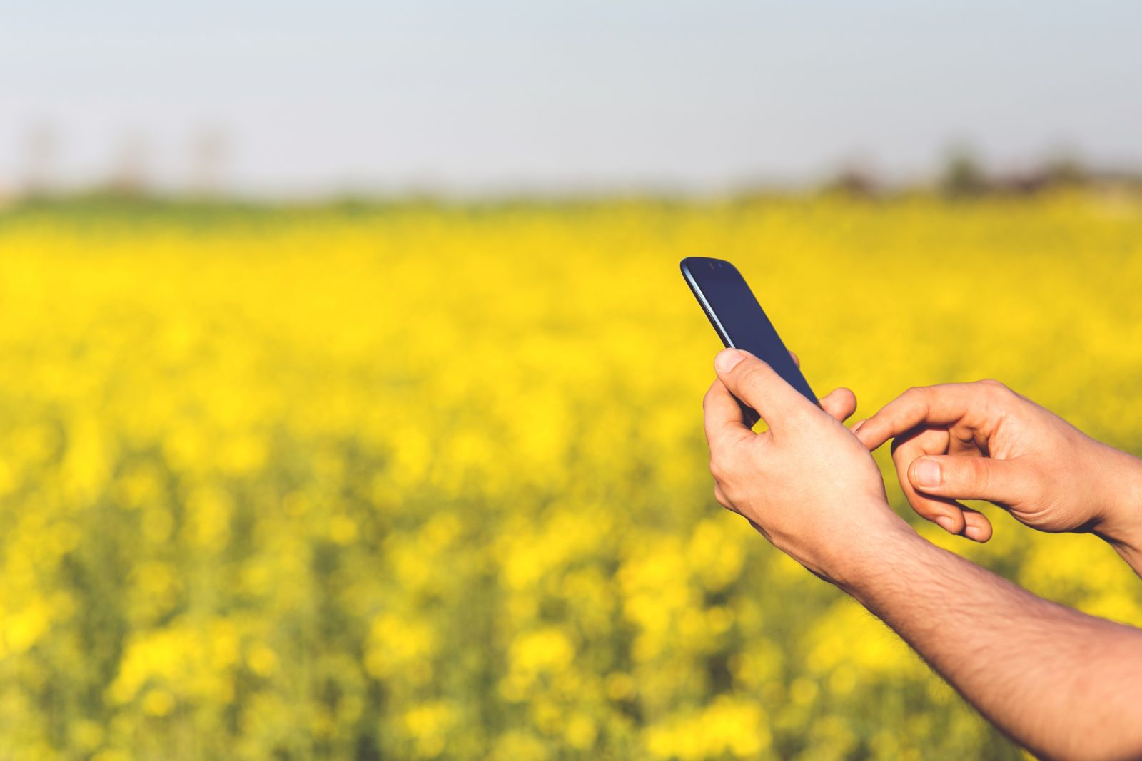 Uso de smartphones na agricultura é maior no Brasil do que nos EUA - News Rondônia