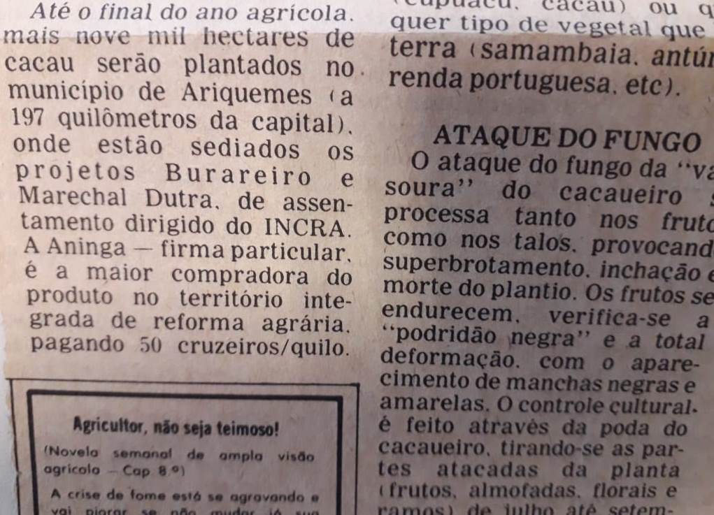 ARIQUEMES, QUE DEU ORIGEM A MAIS OITO MUNICÍPIOS EM RONDÔNIA, COMEMORA 42 ANOS - News Rondônia