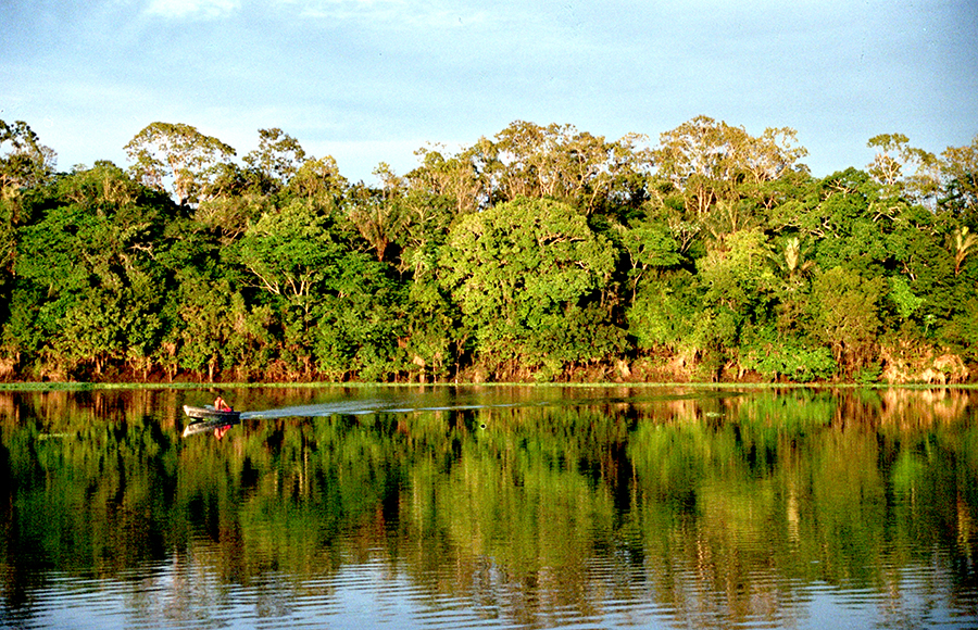 O fascínio com a Amazônia e a importância da floresta para o mundo - News Rondônia
