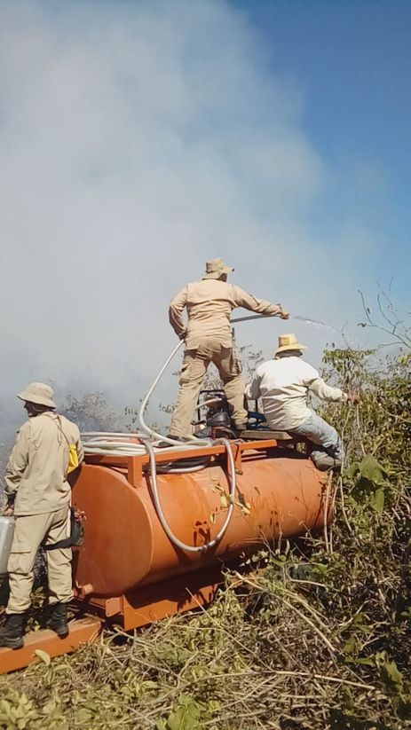 Incêndio destrói área do Pantanal perto de Corumbá (MS) - News Rondônia