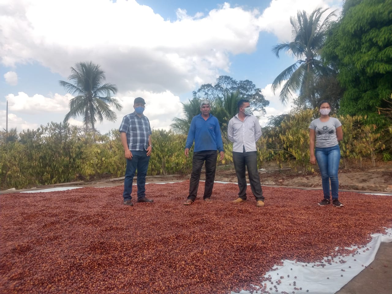 Produtores de Café de Rolim de Moura vão participar de concurso estadual de qualidade do café - News Rondônia
