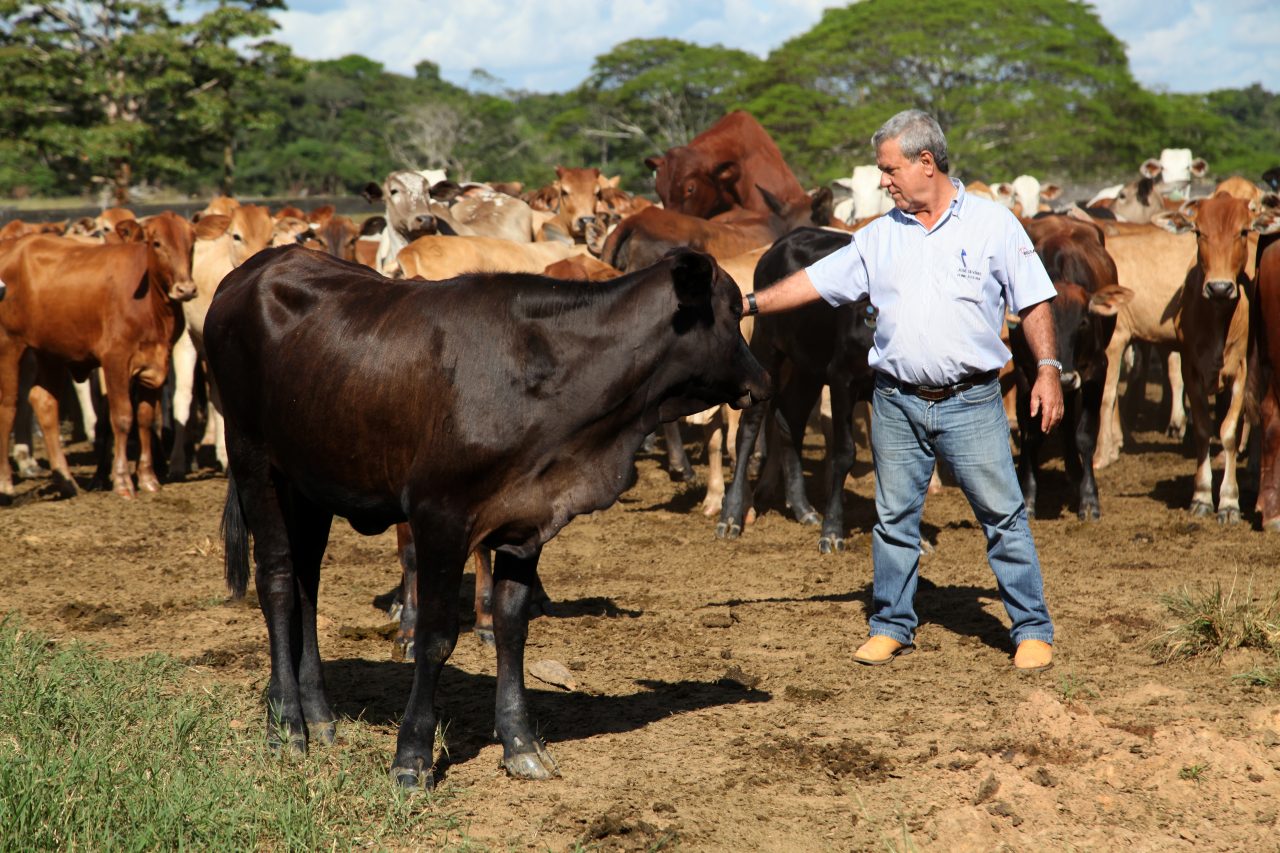 O AGRONEGÓCIO VEM TRANSFORMANDO A PONTA DO ABUNÃ EM RONDÔNIA - News Rondônia
