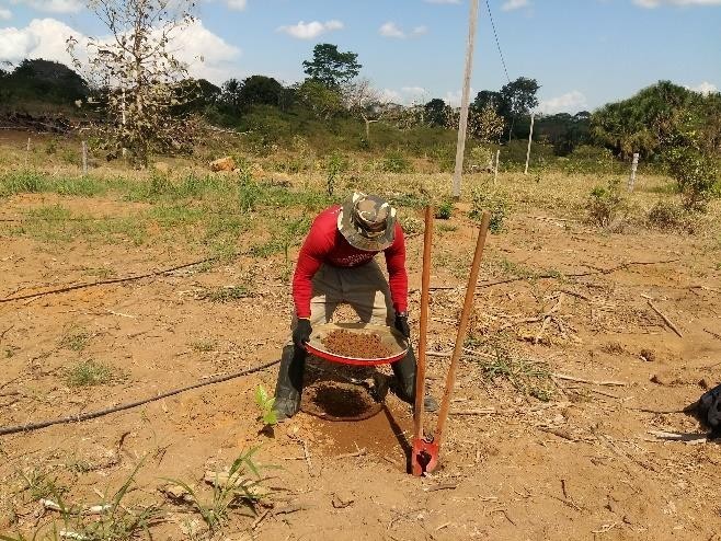 Iphan reconhece dois sítios arqueológicos catalogados por equipes da Energisa - News Rondônia