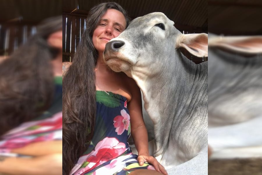 Estreia coluna vegana: pratos saborosos e fáceis de fazer - News Rondônia