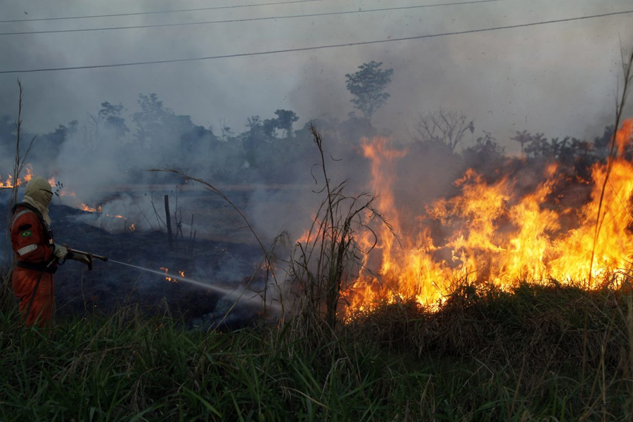 Emater percorre propriedades rurais e reforça importância da prevenção às queimadas em Rondônia - News Rondônia