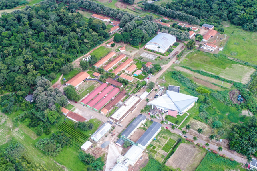 Campus Colorado do Oeste oferta vagas remanescentes nos cursos de Tecnologia em Gestão Ambiental, Bacharelado em Zootecnia e Licenciatura em Ciências Biológicas - News Rondônia