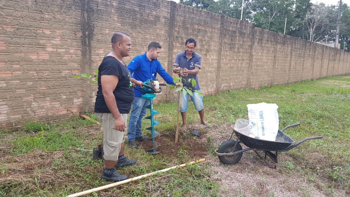 WHATS ÁRVORE, DA SECRETARIA MUNICIPAL DE MEIO AMBIENTE, CONTINUA ATIVO - News Rondônia