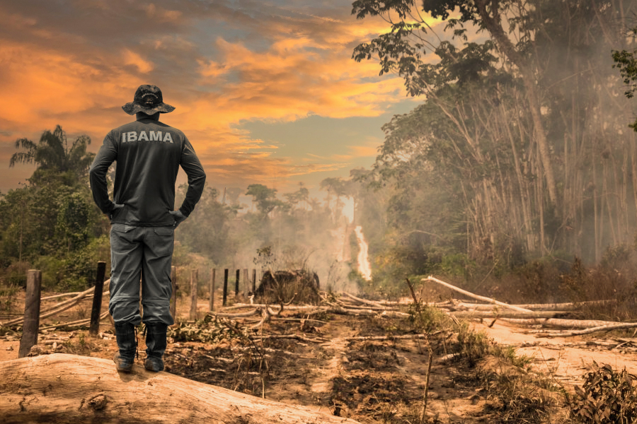 Estimativa é que 2,4 milhões de hectares da Amazônia vão desaparecer com projetos de abertura de estrada - News Rondônia