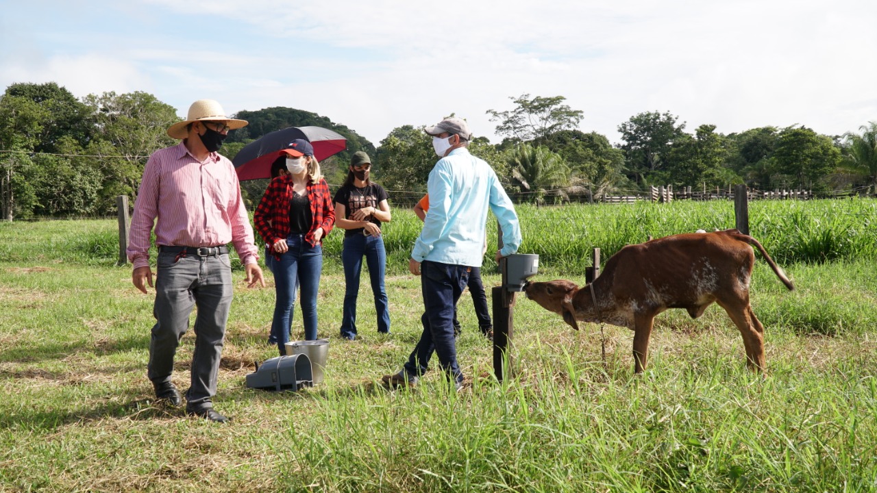 Prefeita Carla Redano visita produtores e garante apoio ao Homem do Campo de Ariquemes - News Rondônia