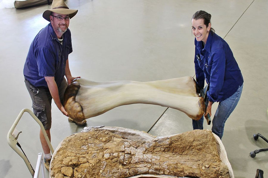 Dinossauro descoberto na Austrália é identificado como nova espécie - News Rondônia