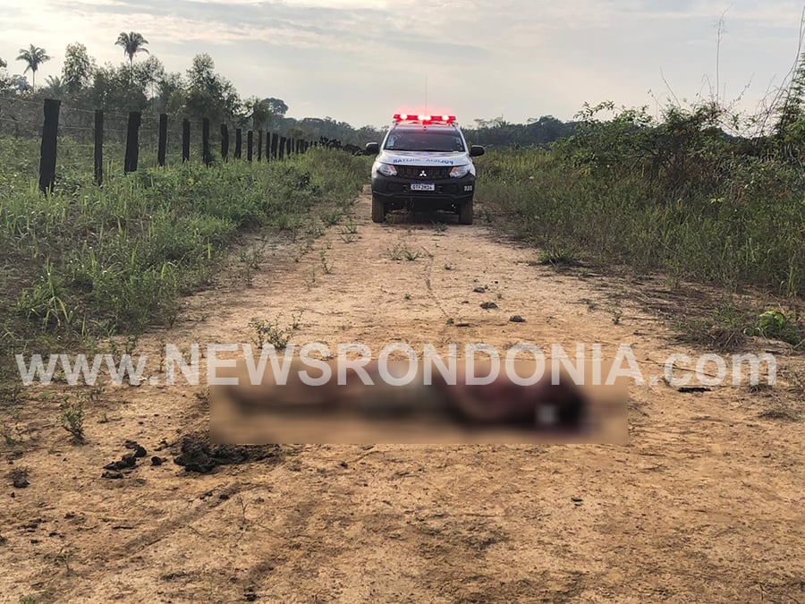 URGENTE: Corpo de jovem que foi morto a golpes de facão é encontrado por trás do Orgulho do Madeira - Video - News Rondônia