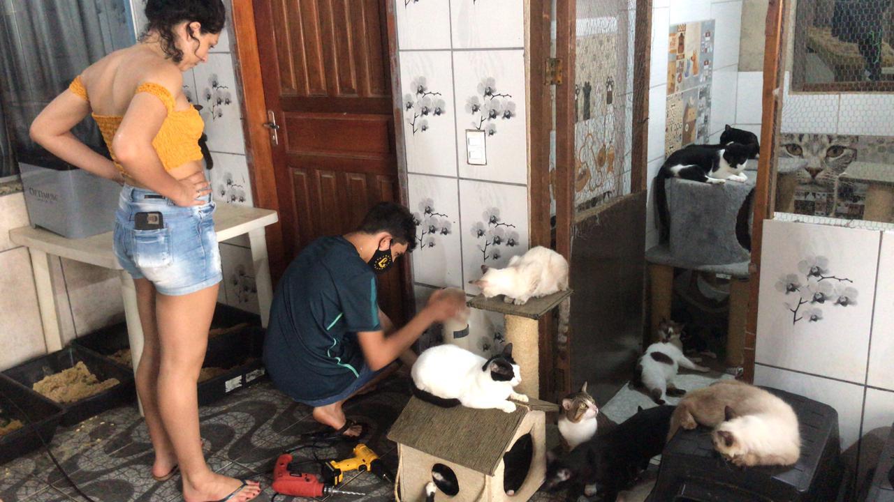 SOLIDARIEDADE: Jovens instalam bebedouro e comedouro para animais gratuitamente na Capital - Por Rayane Trajano - News Rondônia