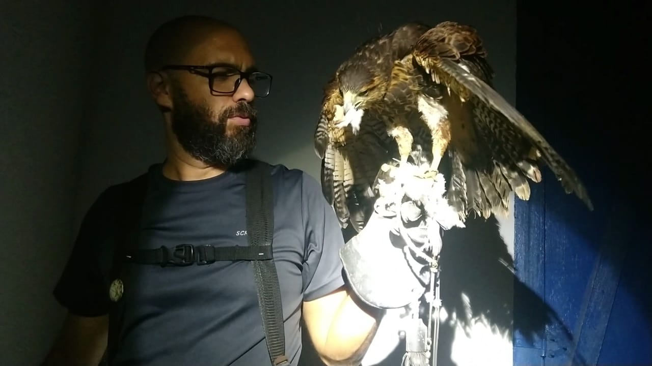 Vilhena: Secretaria de Meio Ambiente captura pombos no Museu Casa de Rondon em preparativos para abertura do espaço - News Rondônia