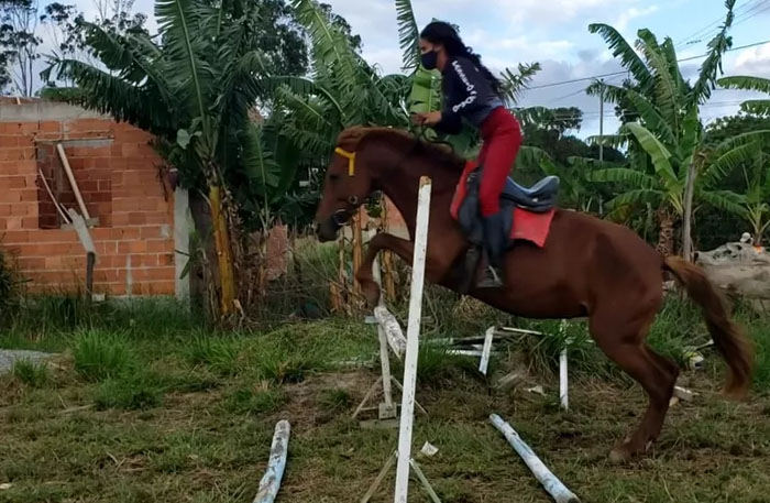 Sem dinheiro, gêmeas apaixonadas por hipismo treinam em terreno emprestado e sem professor - News Rondônia