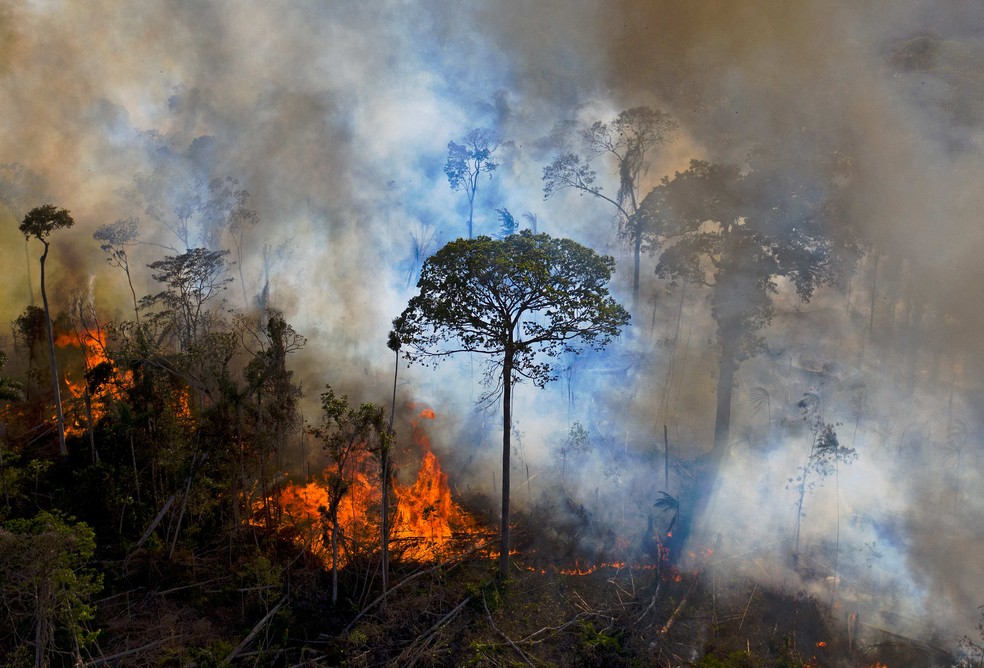 Alerta de desmatamento na Amazônia Legal em maio é o maior desde 2016 - News Rondônia