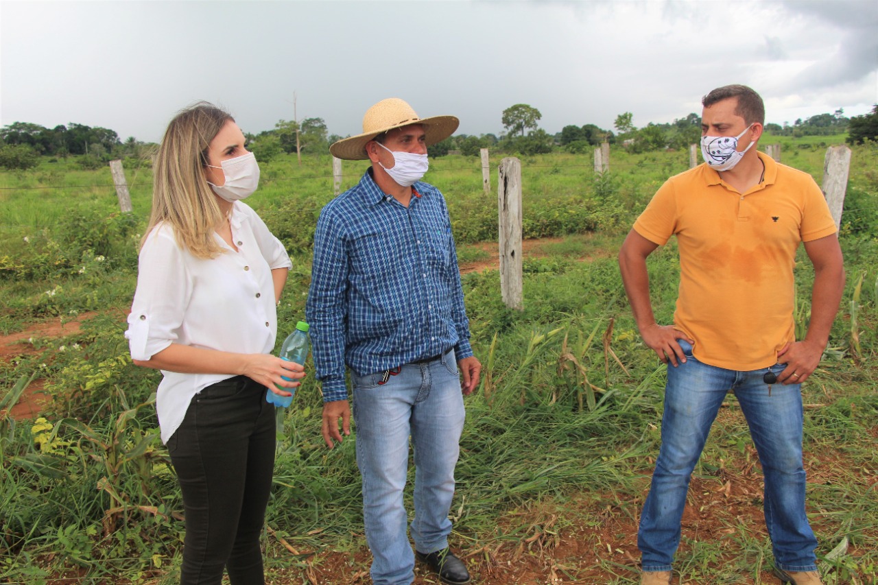 Prefeita de Ariquemes visita produtor de silagem de milho e criador de gado leiteiro - News Rondônia