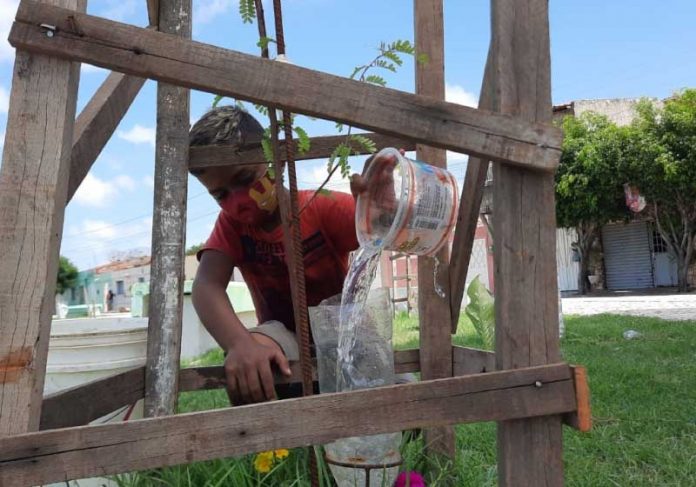 Garoto de 11 anos adota praça e planta mais de 30 árvores em um mês - News Rondônia