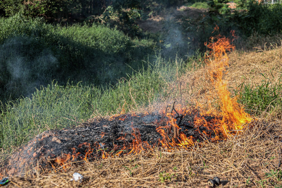 Fiscalização contra queimadas é reforçada em Porto Velho - News Rondônia