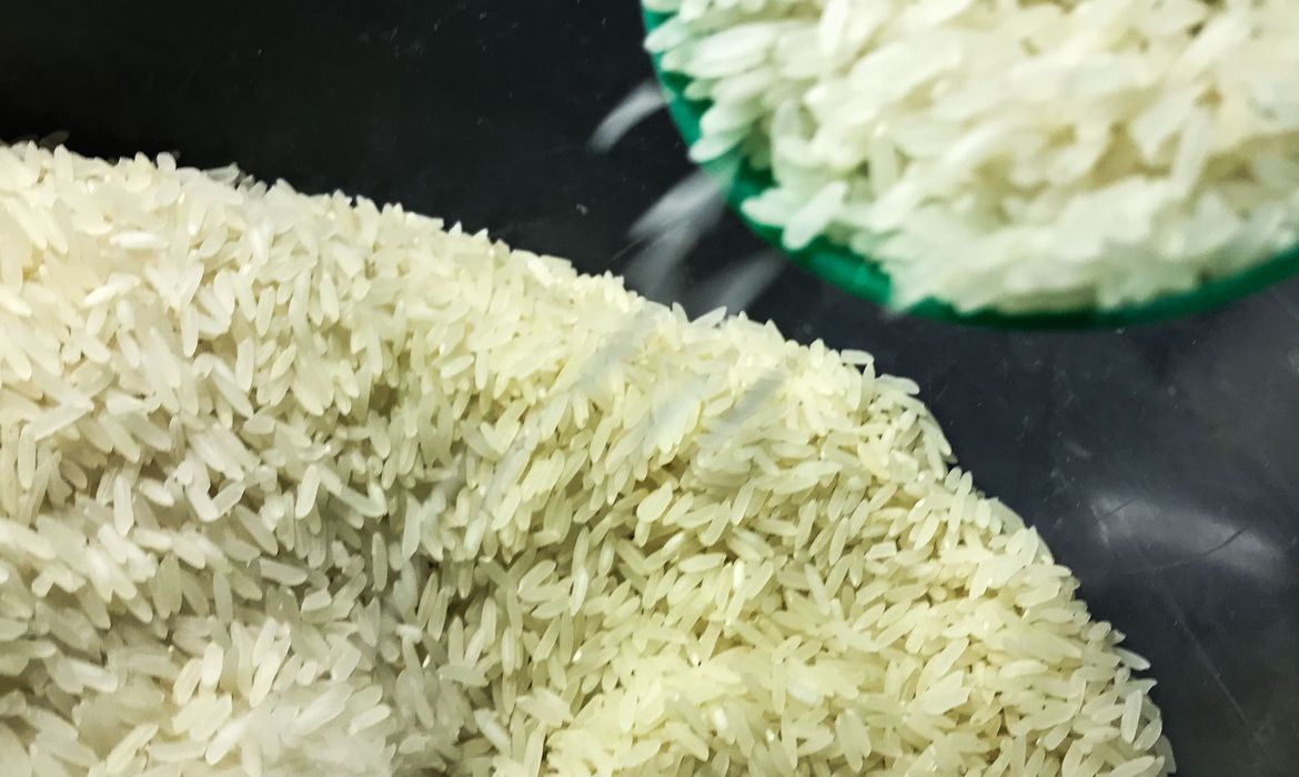 Governo define critérios para cota de importação de arroz - News Rondônia