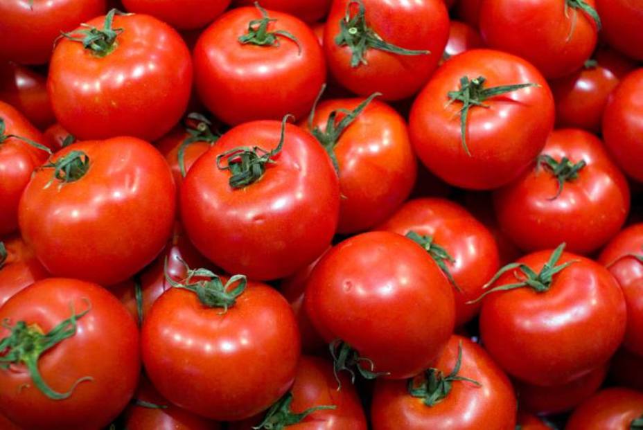 Levantamento da Conab aponta tendência de queda nos preços da batata e tomate em março - News Rondônia