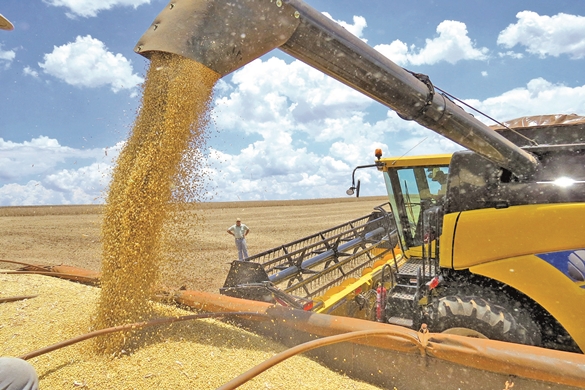 SAFRA RECORDE: Conab aponta recorde na produção de grãos com 253,7 milhões de toneladas - News Rondônia