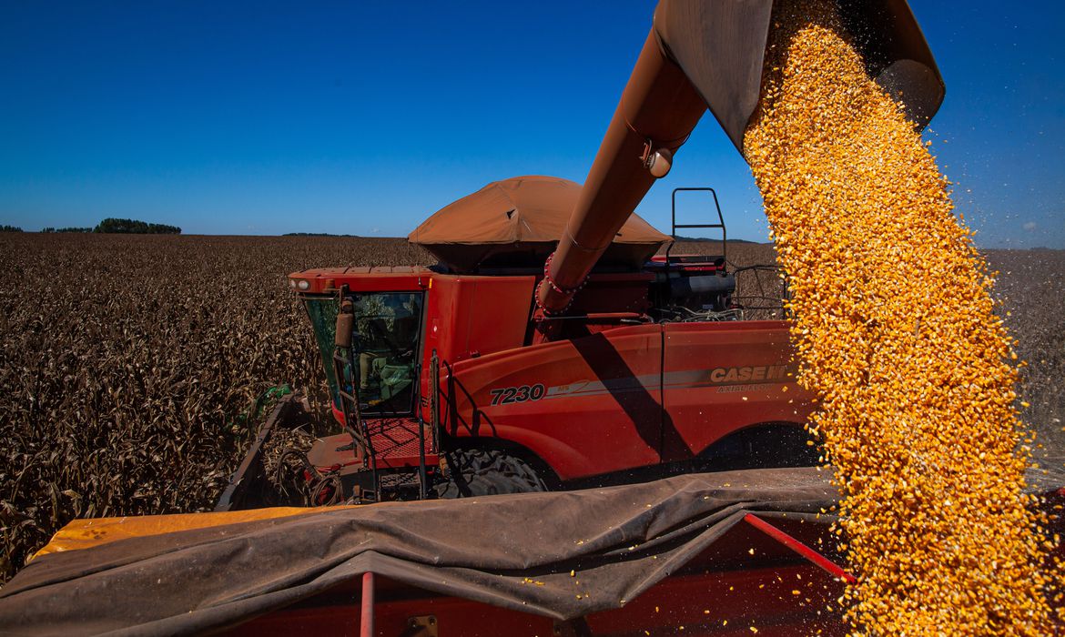 Conab prevê produção de 268,3 milhões de toneladas de grãos em novo levantamento - News Rondônia