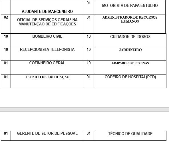 SINE MUNICIPAL DIVULGA AS VAGA DE EMPREGO PARA ESTA TERÇA-FEIRA (03) - News Rondônia