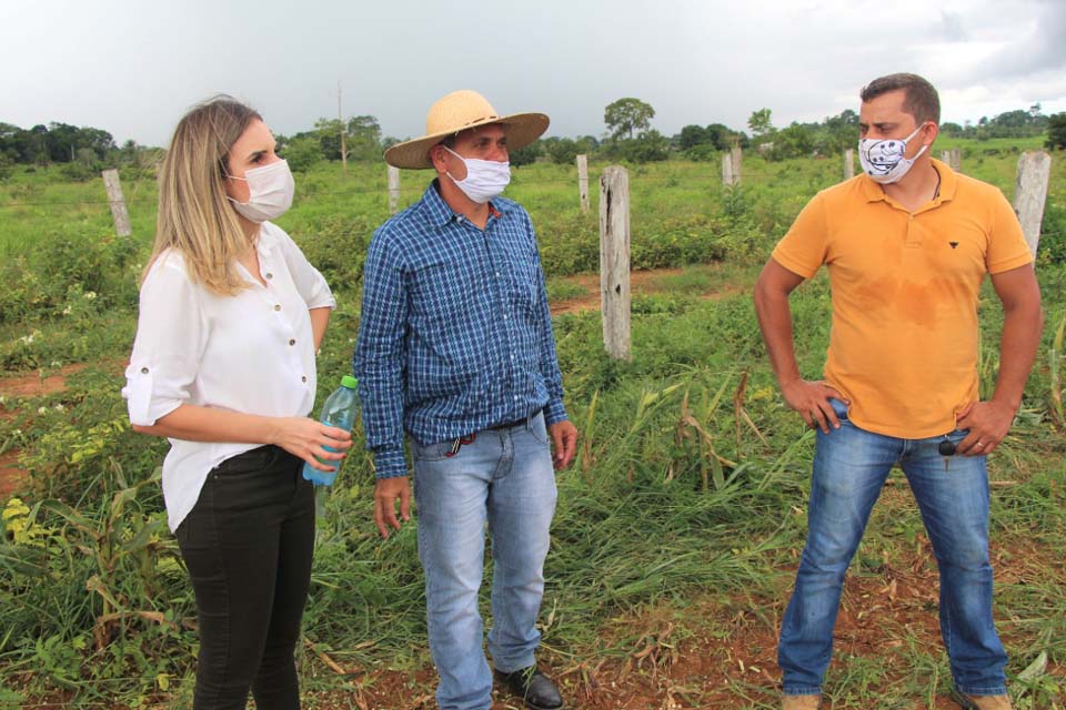Prefeita de Ariquemes visita produtor de silagem de milho e criador de gado leiteiro - News Rondônia