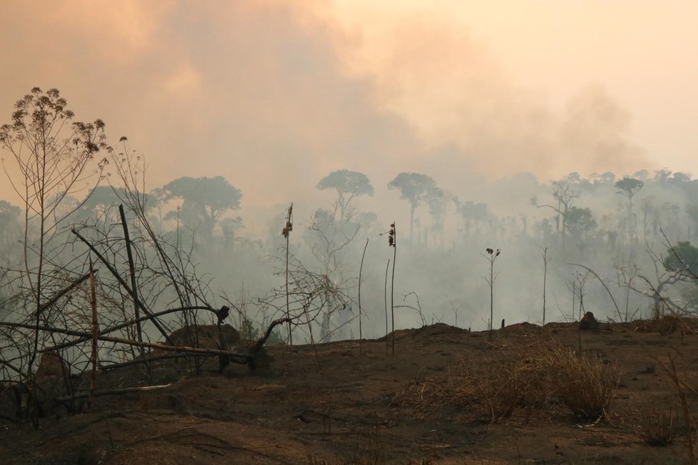 Promotores de Justiça realizam sobrevoo em áreas de queimadas na região do Valé do Guaporé - News Rondônia