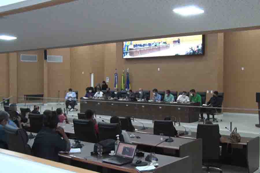 Sebrae e deputados de Rondônia discutem em audiência pública a cadeia produtiva da castanha do Brasil - News Rondônia