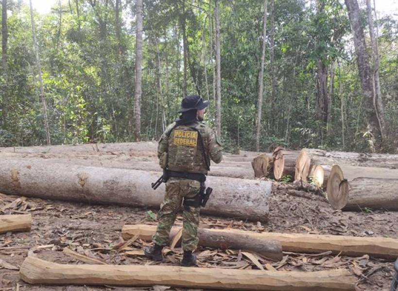 PF deflagra operação contra crimes em Terra Indígena no Cone Sul, bloqueia milhões em bens e prende empresário - News Rondônia