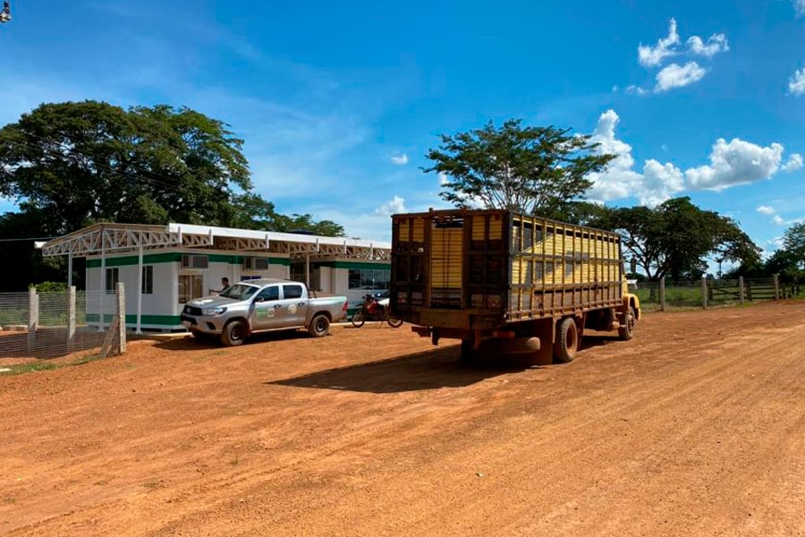 Rondônia reforça fiscalização sanitária em áreas estratégicas para garantir saúde do rebanho bovino e bubalino - News Rondônia