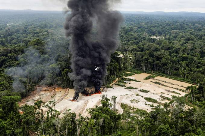 Governo pretende investir 150 milhões de reais para preservação de floresta - News Rondônia