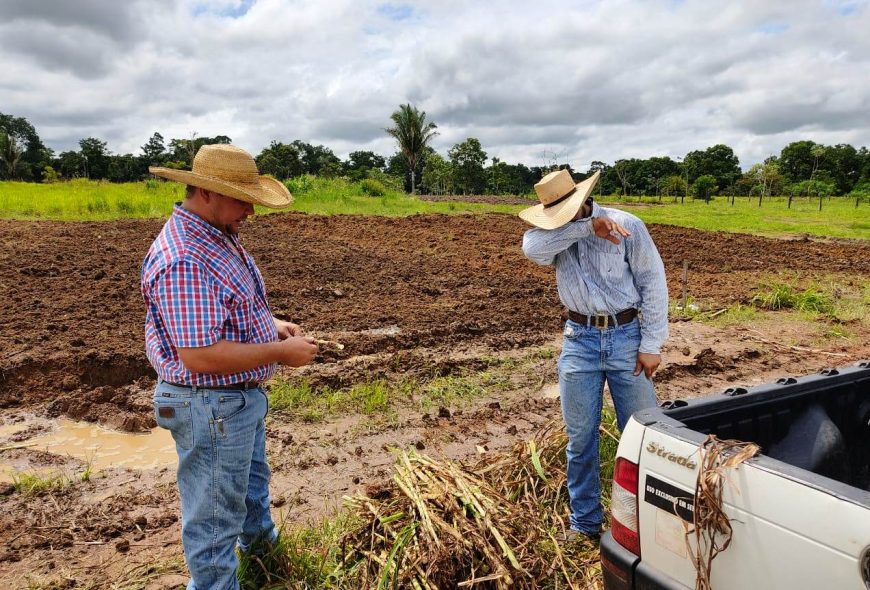 INSUMOS - Redução na base de cálculo e isenção do ICMS permite ao produtor de Rondônia planejar melhor as atividades agrícolas - News Rondônia