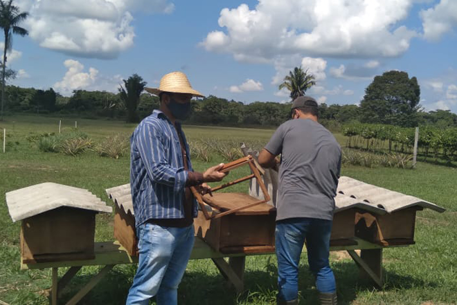 Pilar da economia, agricultor tem reconhecimento da Prefeitura de Porto Velho - News Rondônia