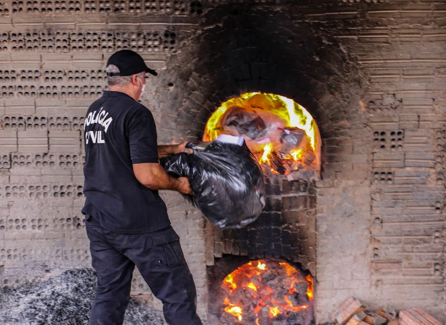 Departamento de Narcóticos incinera mais de 800 quilos de entorpecentes em Porto Velho - News Rondônia