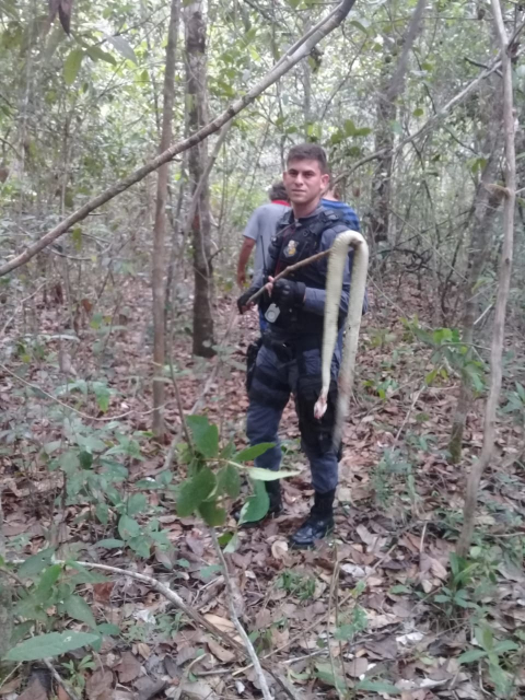 SEM PODER ANDAR, PILOTO SOBREVIVEU TRÊS DIAS COM A ÁGUA DE UM CÓRREGO - News Rondônia