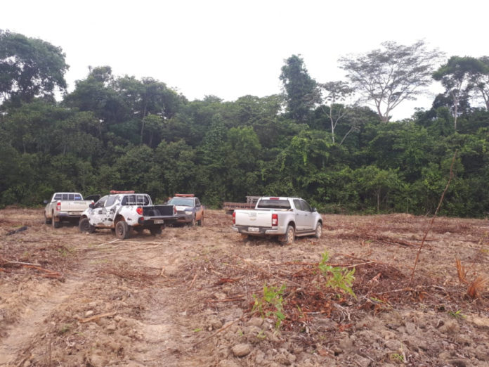 SEM PODER ANDAR, PILOTO SOBREVIVEU TRÊS DIAS COM A ÁGUA DE UM CÓRREGO - News Rondônia